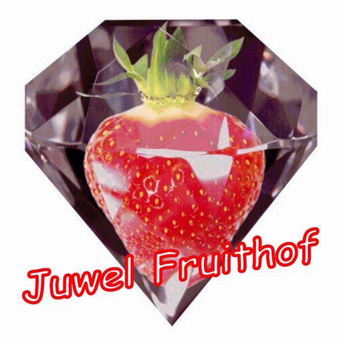 Juwel Fruithof Daire Zepperen Oda fotoğraf
